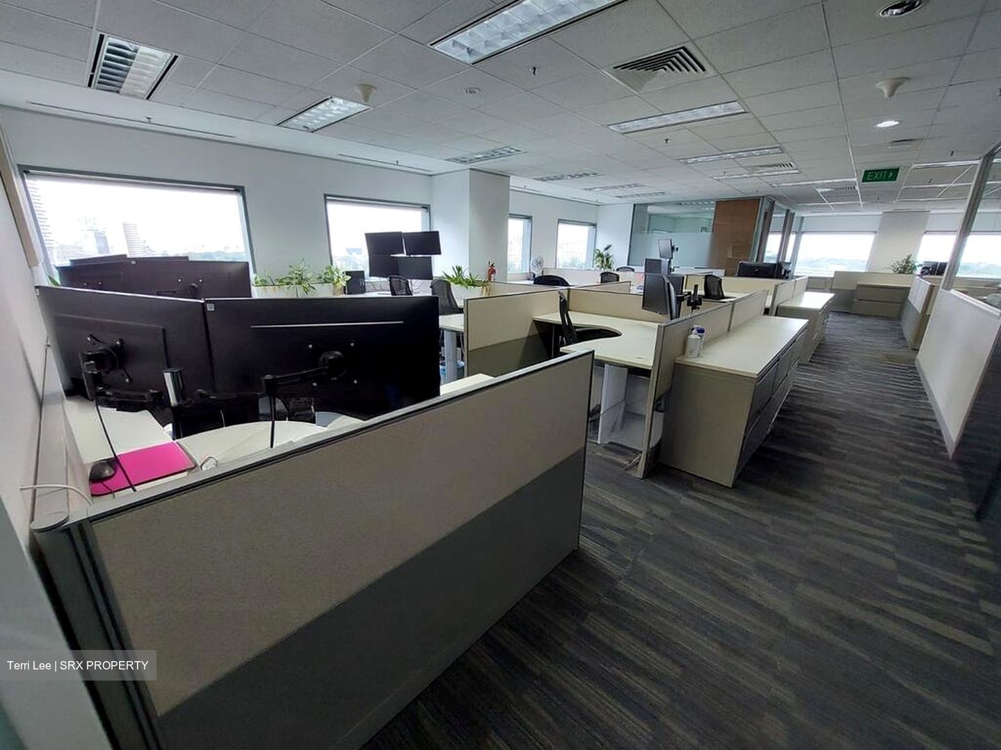 Suntec City Mall (D1), Office #516199251
